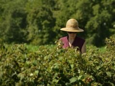 El campo propone el fomento de las cooperativas para la integración femenina fomentar cooperativas