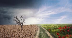 El Congreso aprueba la primera Ley de Cambio Climático en España ley cambio climático españa