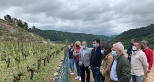 El PSOE de Chantada pide a la Xunta que active un plan de recuperación de los viñedos chantada xunta viñedos