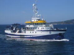 Violencia vicaria: matar a los hijos para condenar a su madre a una muerte en vida qué es la violencia vicaria