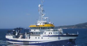 Violencia vicaria: matar a los hijos para condenar a su madre a una muerte en vida qué es la violencia vicaria