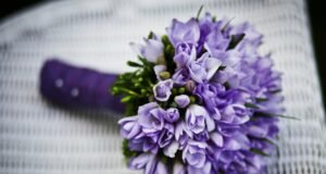 ¿Cuál es el mejor ramo de flores por San Valentín? ¿Cuál es el mejor ramo de flores por San Valentín?