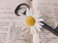 ‘Perseverance’, la palabra que abre la puerta de la certificación en inglés exámenes oficiales de inglés en Barcelona, Madrid, París, Berlín palabra cambridge 2021