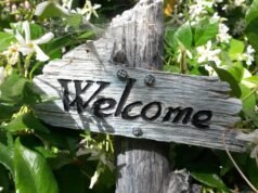 Un jardín mediterráneo en casa, una idea perfecta cómo hacer y tener un jardón mediterráneo en casa huerto urbano