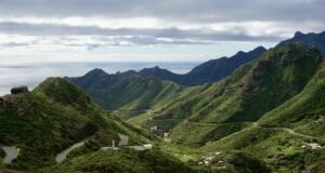 Tenerife apostará por el turismo americano Tenerife apostará por el turismo americano