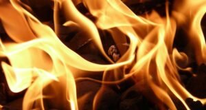 La primavera incrementa el riesgo de incendio en las islas venta de extintores en Tenerife p