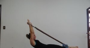 Fisioterapia como mejora de las disfunciones de suelo pélvico Fisioterapia como mejora de las disfunciones de suelo pélvico