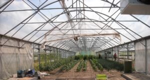 Eficiencia energética y durabilidad: los beneficios clave de elegir trabajos de aluminio y PVC en la construcción aluminio y PVC en la construcción