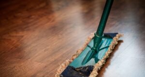 LM2, expertos en servicio de limpieza en comunidades de Madrid LM2, expertos en servicio de limpieza en comunidades de Madrid