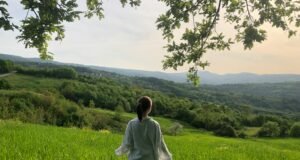 Sumérgete en la belleza rural: descubre el encanto de las casas de campo casas rurales españa 2024