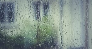 El mejor sistema de tratamiento de humedades en Donostia El mejor sistema de tratamiento de humedades en Donostia