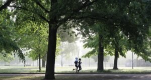 Entrenar en el Retiro de Madrid con entrenador personal Entrenar en el Retiro de Madrid con entrenador personal.