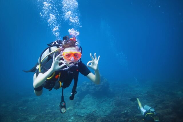 Buceador explorando las aguas cristalinas de Tenerife, rodeado de vida marina en un entorno natural impresionante, mostrando la experiencia de buceo y la conexión con el ecosistema marino.