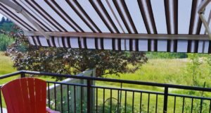 ¿Cuándo instalar o renovar un toldo en casa? instalación de toldos