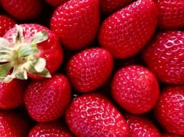 Plato saludable con alimentos frescos y naturales - nutrición holística Murcia