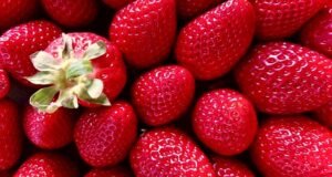 La alimentación y salud buscan un enfoque holístico Plato saludable con alimentos frescos y naturales - nutrición holística Murcia