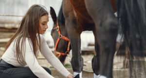 Cuidado y preparación de caballos de competición en el deporte ecuestre Caballo de competición siendo evaluado por veterinarios con tecnología de monitoreo en un centro ecuestre.