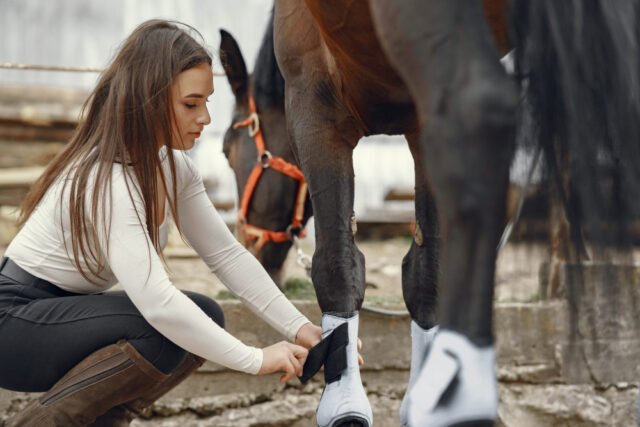 Caballo de competición siendo evaluado por veterinarios con tecnología de monitoreo en un centro ecuestre.