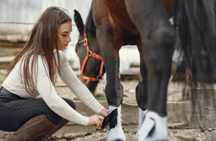 Caballo de competición siendo evaluado por veterinarios con tecnología de monitoreo en un centro ecuestre.